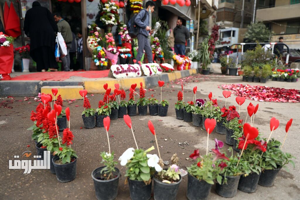 ورود وقلوب.. المصريون يحتفلون بعيد الحب.. تصوير: أحمد عبد الفتاح