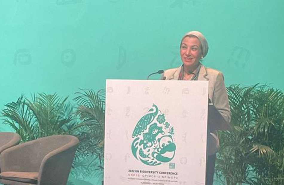 وزيرة البيئة: توفير 95 مليون يورو لدعم المشروعات الصناعية من أجل التوافق البيئي
