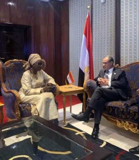 وزير الخارجية: مصر تتابع بكثب التطورات المتسارعة في منطقة الساحل الإفريقي