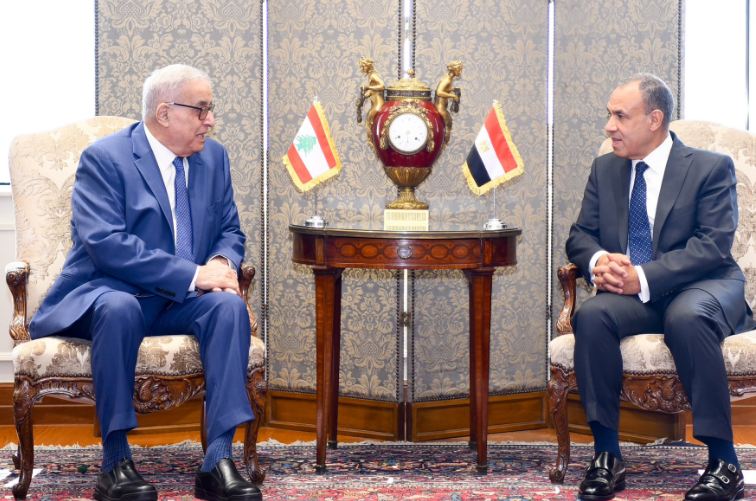 الخارجية: مصر تبذل جهودًا حثيثة لاحتواء التصعيد الإقليمي والحفاظ على سلامة لبنان