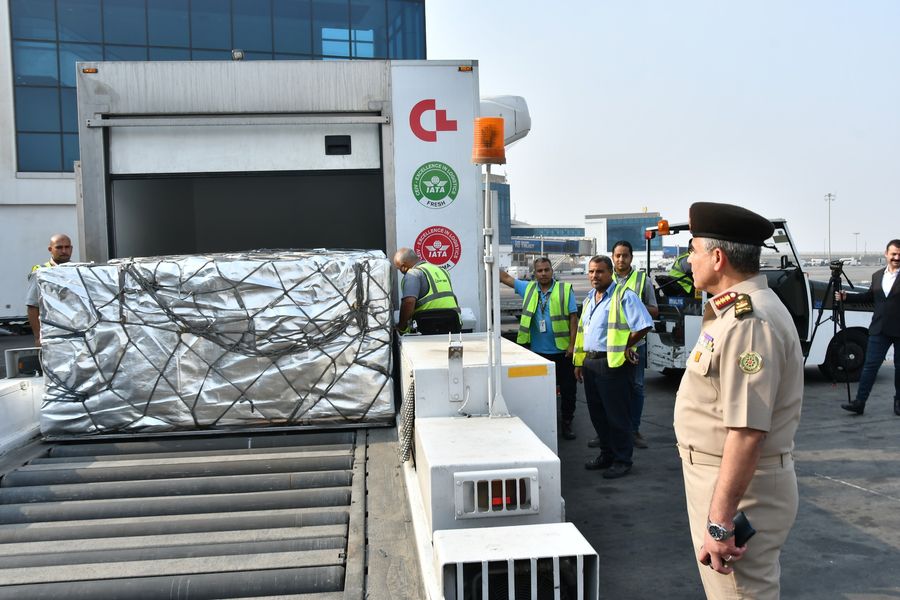 The second shipment of medicines derived from Egyptian plasma arrives