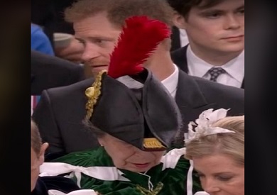 Princess Anne’s Hat Causes a Stir During King Charles’ Coronation Ceremony