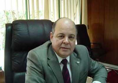 محمد صابر عرب، وزير الثقافة