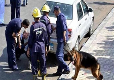 «جهاز حشرات» يثير الذعر أمام «كايرو مول» بالهرم