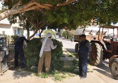 حملة مكثفة لنظافة شوارع الخارجة بالوادي الجديد