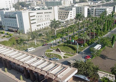 جامعة المنصورة ارشيفية