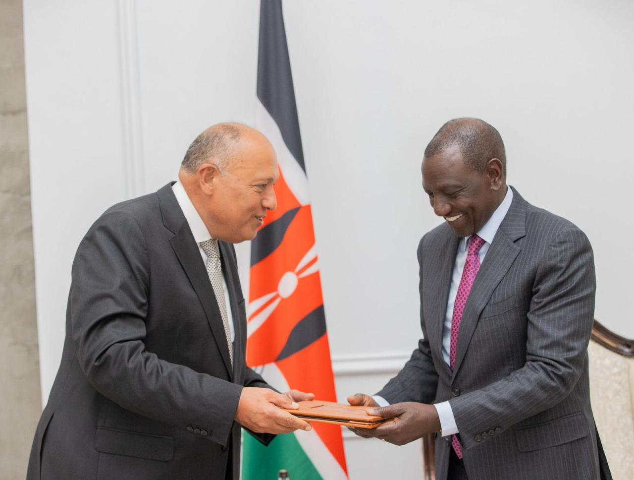 وزير الخارجية يسلم الرئيس الكيني رسالة من السيسي