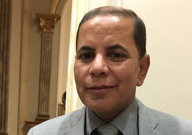 النائب سيد أبو بريدع، عضو مجلس النواب