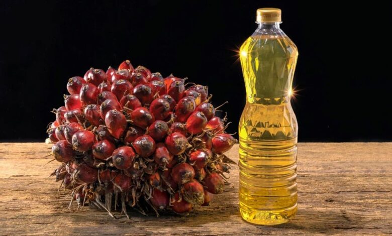 Palm Oil Prices Expected to Reach 3 per Ton by June 2024, Says Veteran Trader Dorab Mistry