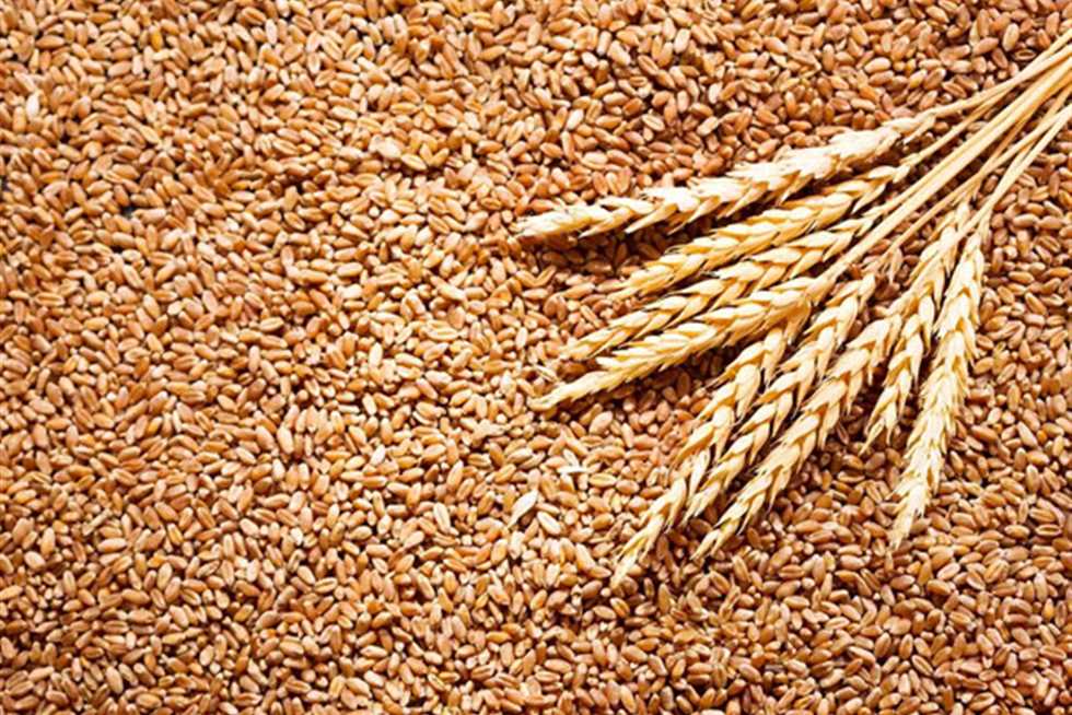 التموين تقرر زيادة أسعار القمح المورد للمطاحن